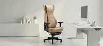 Ergonomic Chairs